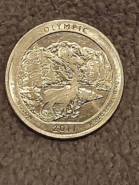 2011 quarter rim cud error showing raised lump of metal at the rim from a die break or fracture
